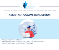 Assistant commercial senior